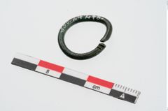 Foto von Bronzering (NHMW-PRAE-024278)